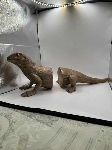 Lovely set lizard - of,