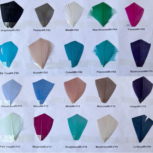 Assorted colour feathers coque - assorted,