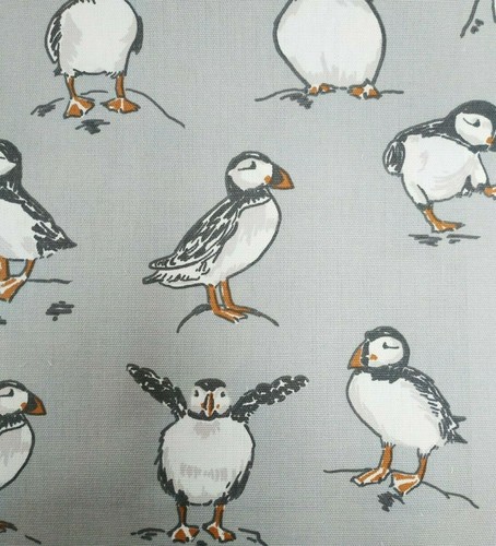 Atlantic puffin smoke - puffin,