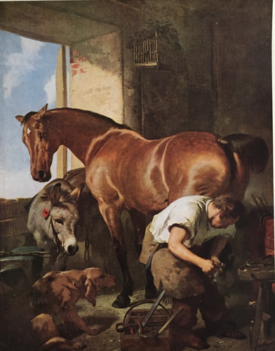 Shoeing the bay mare - shoeing,