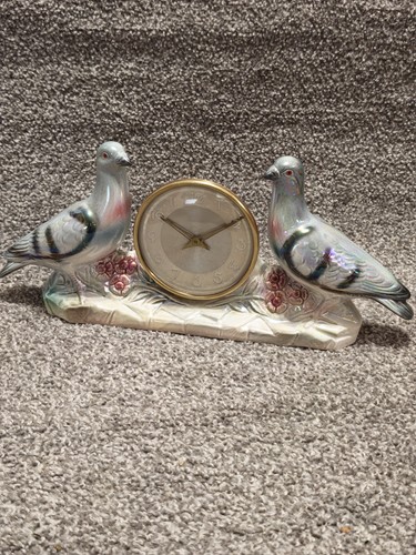 Jema holland pigeon - jema,