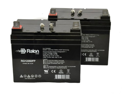 Raion 12v 35ah golden - 12v,