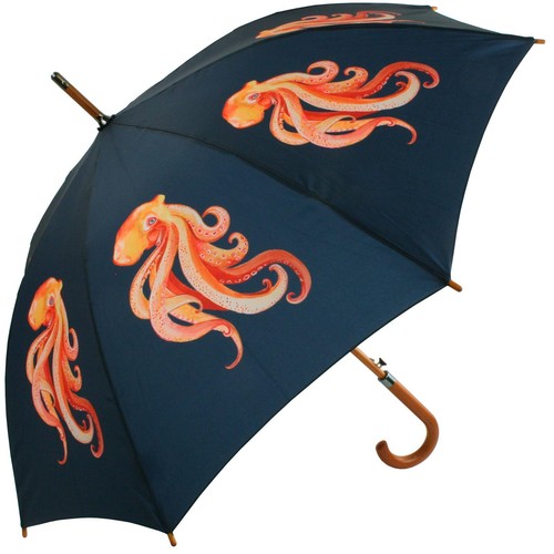 Emily smith umbrella oscar - umbrella,