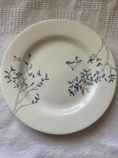 7-Ciroa "Hirondelle" Bird