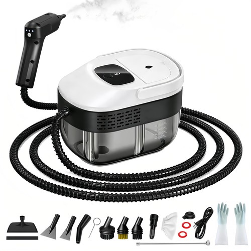 Pressurized handheld steam - pressurized,