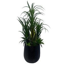 100cm Artificial Yukka Display