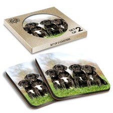 Square MDF Coaster Cane Corso