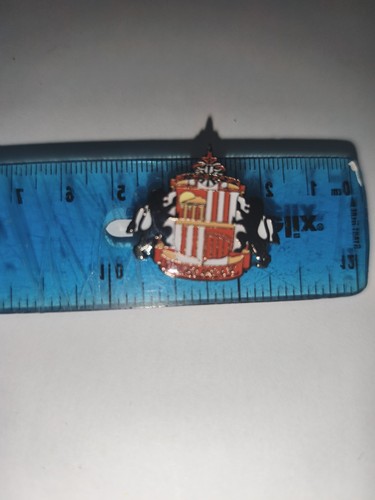 Sunderland pin badge - fc,