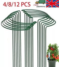 12-Pack Heavy Duty Plant