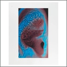 Pink Floyd Meddle Limited