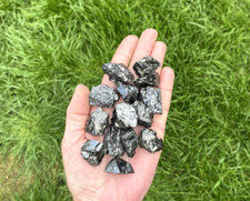 10 x Elite Noble Shungite