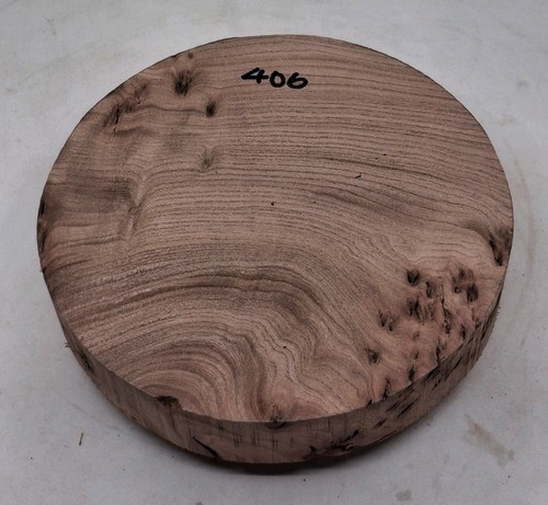 Pippy elm woodturning bowl - pippy,