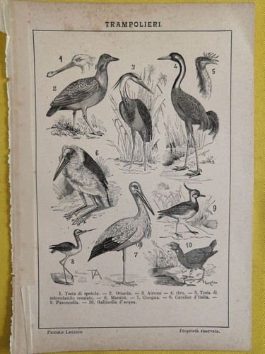 1929 waders engraving - 1929,