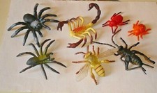 Collection Of 12