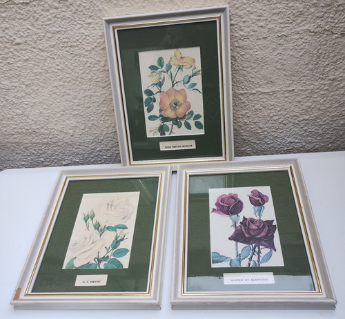 Job lot wooden picture - lot, 3