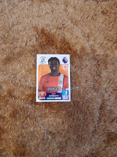 Panini premier league - league, 2024