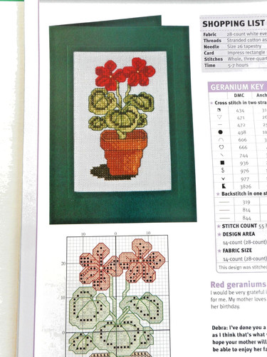 Geranium pot a - &,