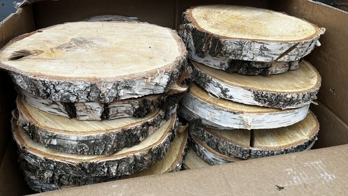 Silver birch round slices - silver,