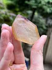 Dreamcoat Lemurian Seed Clear