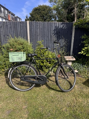 Dutch style dutchie 1 - style, 1-speed
