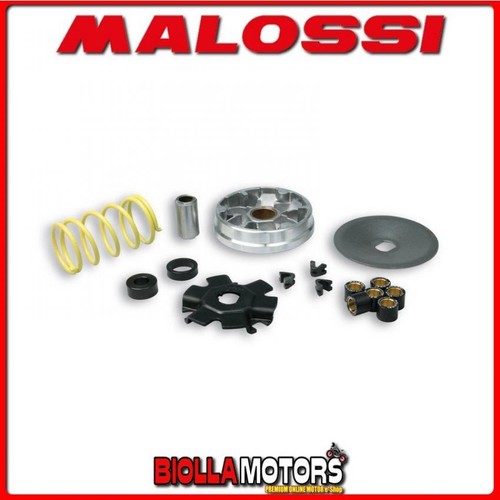 513863 variator malossi - 513863,