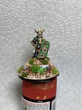 25mm 28mm well painted Celt Gaul Warlord Hero Saga Wargames Foundry