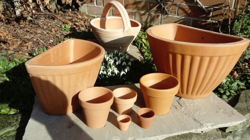 Terracotta flower plant - terracotta, clay