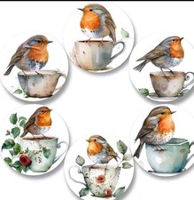 6 Rustic Robin Red Breast Bird