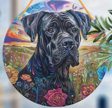 CANE CORSO DOG Large