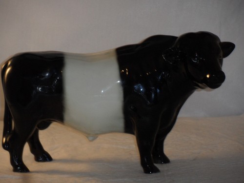 Rare breeds belted galloway - breeds,
