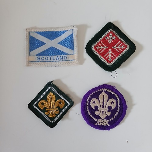 Vintage boy scout - scout, badges
