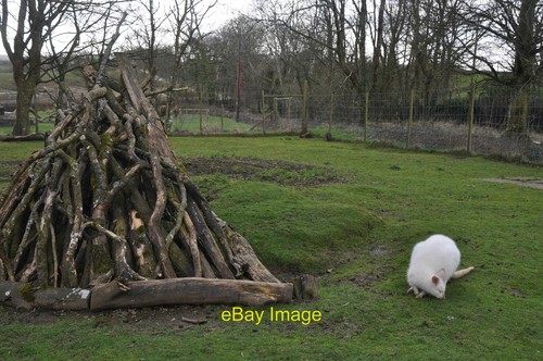 Photo 6x4 pembrokeshire - 6x4,