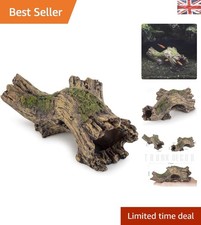 Compact Resin Cave Fish Tank