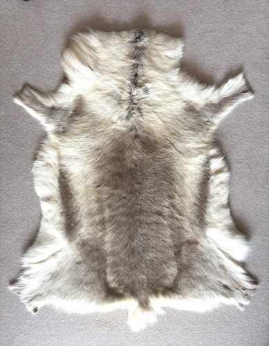 Reindeer hide rug size - reindeer,