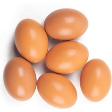 6X Weighted Dummy Chicken Eggs