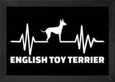 English Toy Terrier Framed
