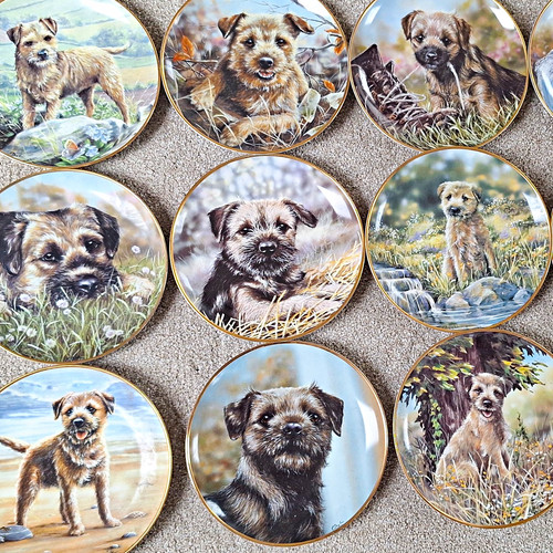 Danbury mint border terrier - mint, ,