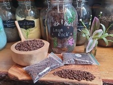 LAVA ROCK  Terrarium aquarium