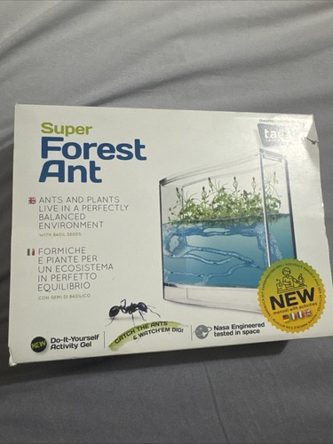 Ant habitat - ant,