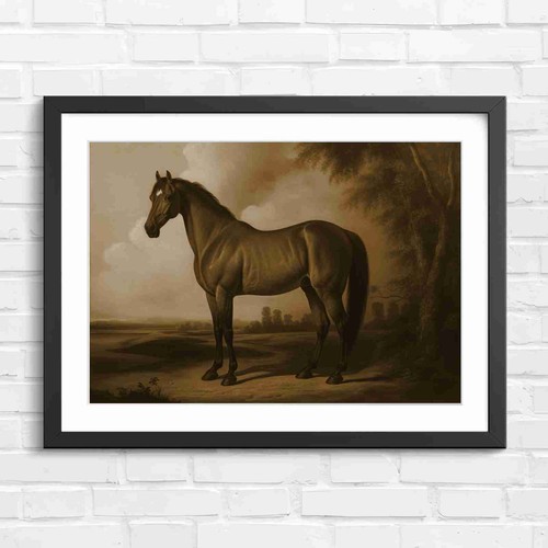 Classic brown horse - horse, standing