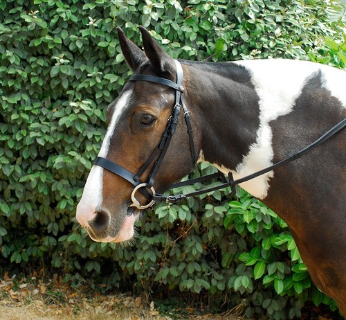 Windsor leather hunter - leather, bridle