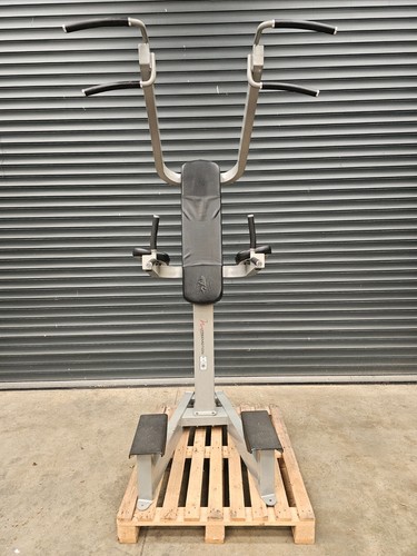 Freemotion chin dip leg raise - freemotion,