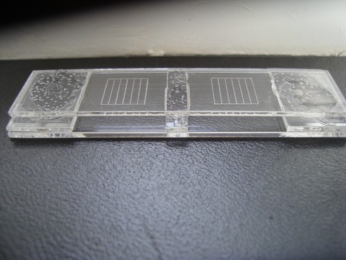 Mcmaster slide for worm egg - worm,