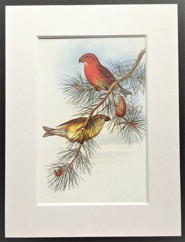 John gould 1970s - john,