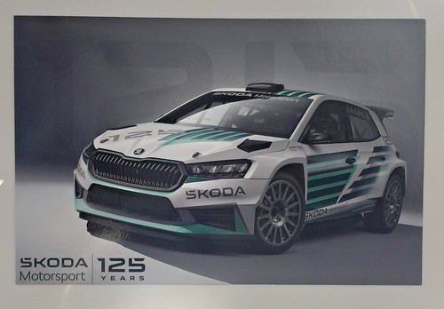 Skoda fabia rally2 team - skoda,