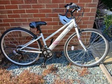 Apollo Excelle 28 x 14"