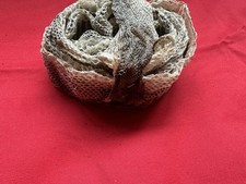 Rare Img Snake Shed 3 Gene