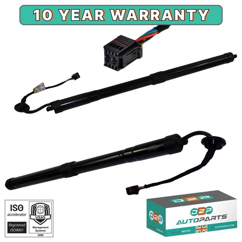 Electric tailgate gas - electric,