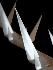 WALL SPIKE/ Fence Spike  - 1m