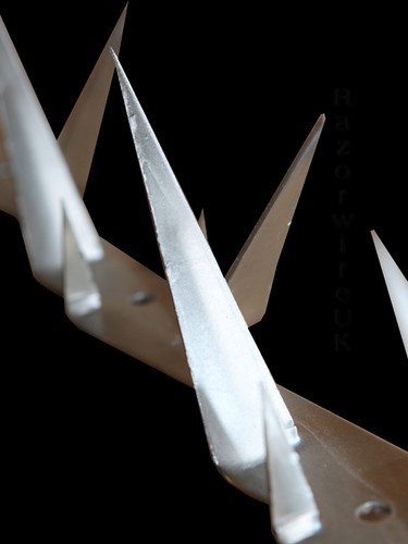 Wall spike fence 1m - ,